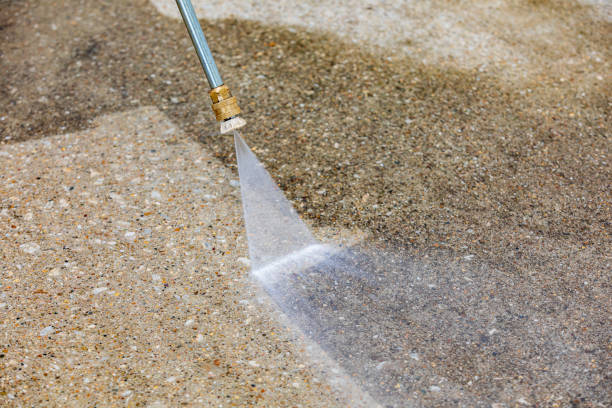 Best Sidewalk and Walkway Cleaning  in Shadow Lake, WA